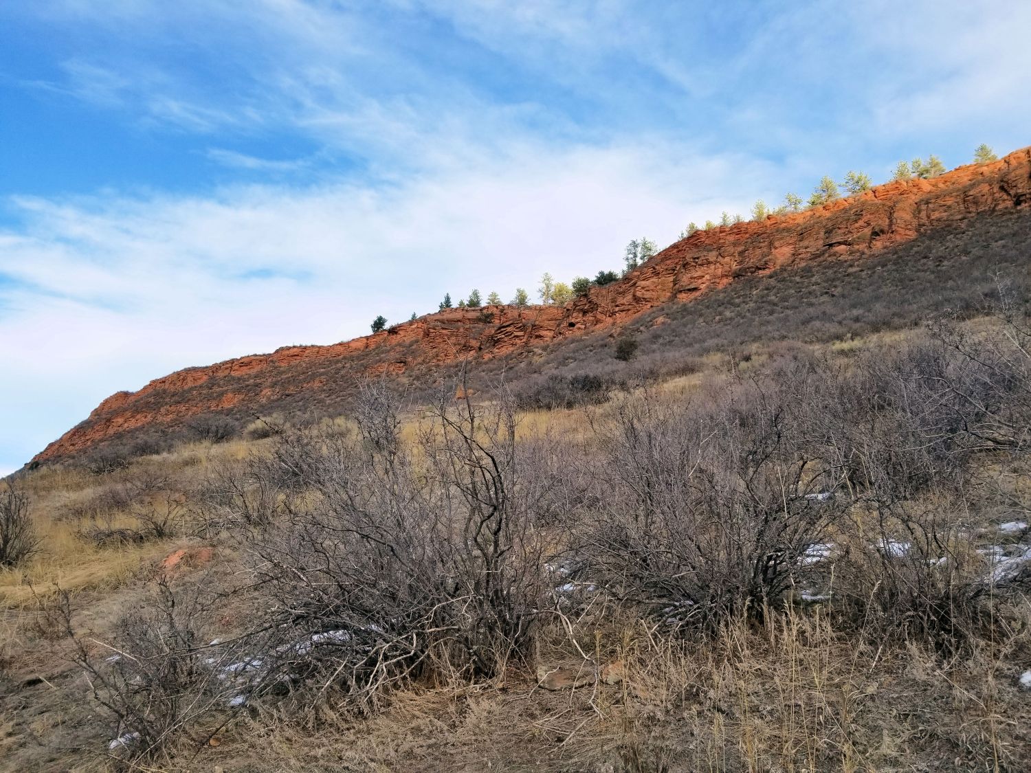 Horsetooth 